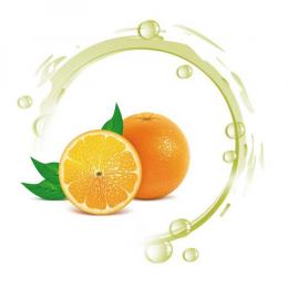 自作用香料 HC(ヘルスキャビン) HC Orange オレンジ　1201 Flavor Super Concentrated Essence