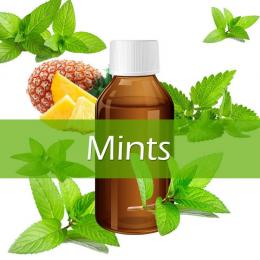 自作用香料　Vapelf　Mints Concentrated Flavors　ミント フレーバー 100ml